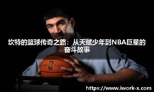 星空·综合体育官网入口